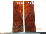 Australian #30 Bottlebrush trunk wood Resifills -Knife scales - Sold in matched pairs