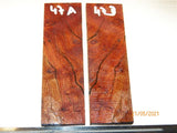 Australian #30 Bottlebrush trunk wood Resifills -Knife scales - Sold in matched pairs