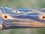 Australian #1 Macrocarpa birdseye - Stabilized blue, green, purple and red PEN blanks- Sold singly