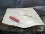 Australian #91st (white Ivory/not yet identified) tree wood - PEN blanks - Sold in packs