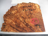 Australian #57 Peppercorn tree burl spalted -Raw Slices pieces - Sold singly
