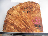 Australian #57 Peppercorn tree burl spalted -Raw Slices pieces - Sold singly