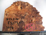 Australian #57 Peppercorn tree burl spalted -Raw Slices pieces - Sold singly