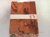 Australian #18-N/Z (New, diagonal cut) Golden Wattle - Sold in packs of 4 blanks