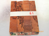 Australian #18-N/Z (New, diagonal cut) Golden Wattle - Sold in packs of 4 blanks