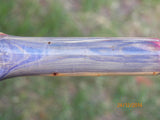 Australian #1 Macrocarpa birdseye - Stabilized blue, green, purple and red PEN blanks- Sold singly